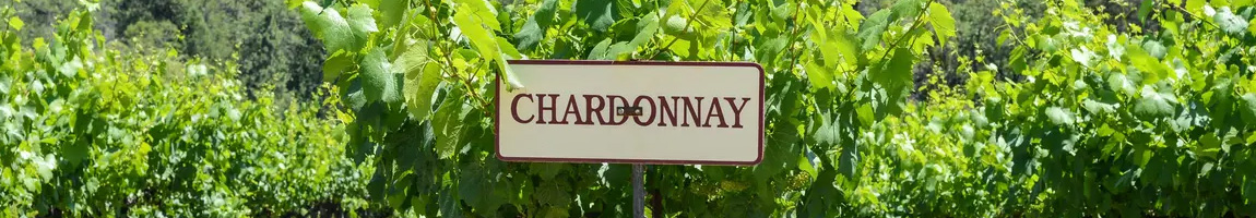 Chardonnay-Weine