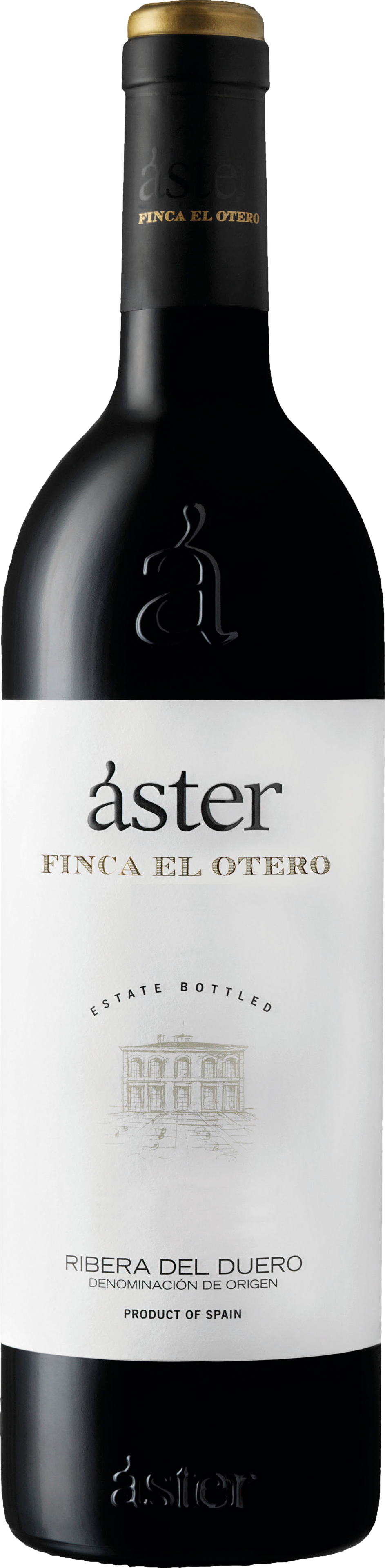 Aster Finca El Otero 2019
