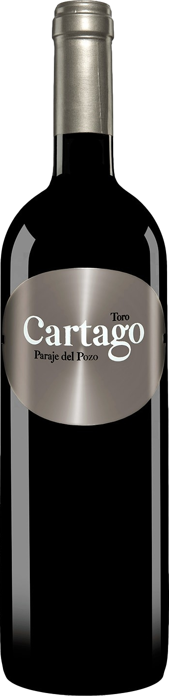 je 1 günstig Kaufen-San Roman Cartago Paraje de Pozo Toro 2017. San Roman Cartago Paraje de Pozo Toro 2017 . 