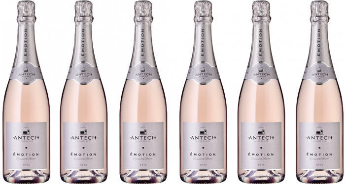 Bottle of Antech Emotion Cremant de Limoux Rose 2019 6 Flaschenset wine 0 ml