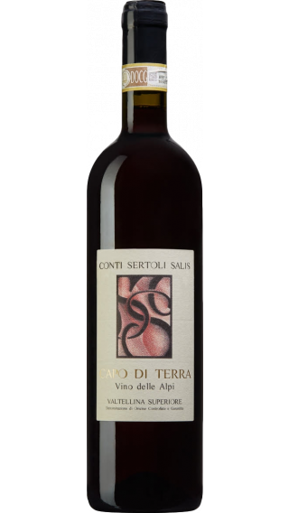 Bottle of Conti Sertoli Salis Capo di Terra 2011 wine 750 ml