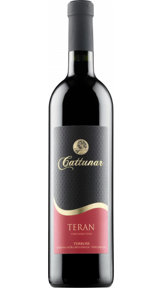 Bottle of Cattunar Teran 2013 wine 750 ml