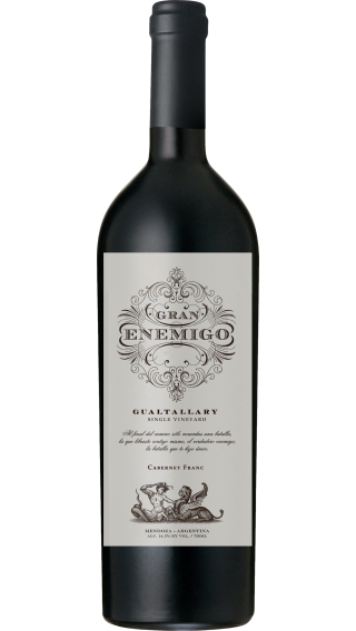Bottle of El Enemigo Gran Enemigo Gualtallary 2020 wine 750 ml