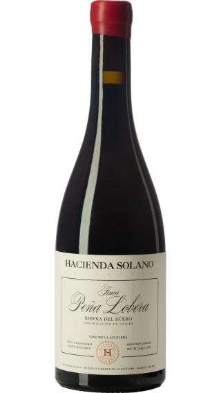 Bottle of Hacienda Solano Finca Pena Lobera 2019 wine 750 ml