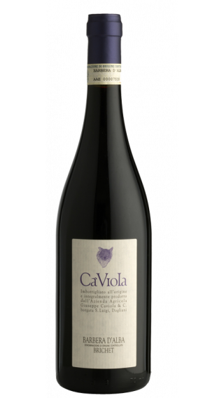 Bottle of Ca Viola Barbera d’Alba Brichet 2014 wine 750 ml