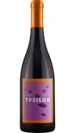 Bottle of Tenuta di Castellaro Ypsilon 2018 wine 750 ml