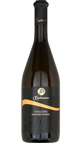 Bottle of Cattunar Malvasia Collina 2015 wine 750 ml