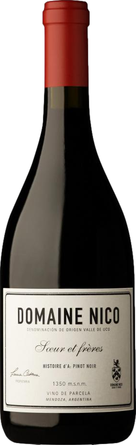 Pinot Noir günstig Kaufen-Domaine Nico Histoire d'A Pinot Noir 2021. Domaine Nico Histoire d'A Pinot Noir 2021 . 