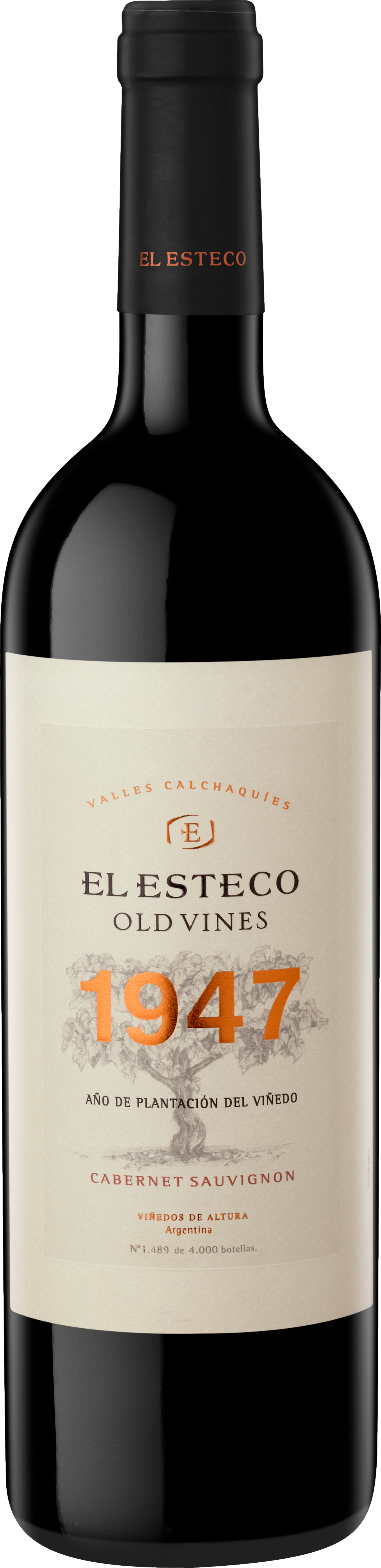 El Esteco Old Vines Cabernet Sauvignon 2019