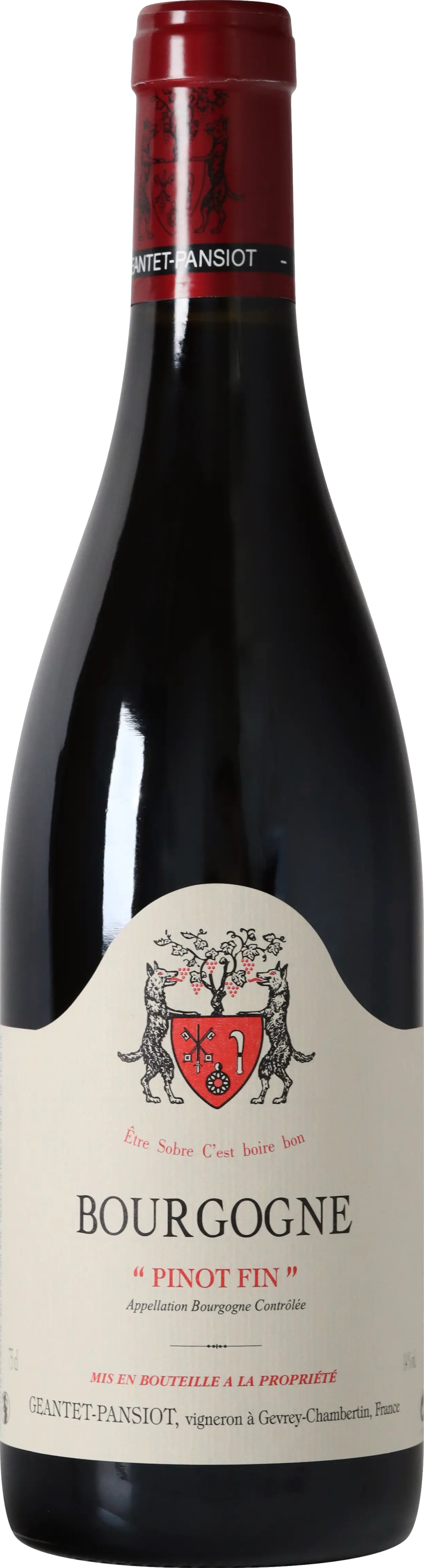 02 RG  günstig Kaufen-Geantet-Pansiot Bourgogne Pinot Fin 2021. Geantet-Pansiot Bourgogne Pinot Fin 2021 . 