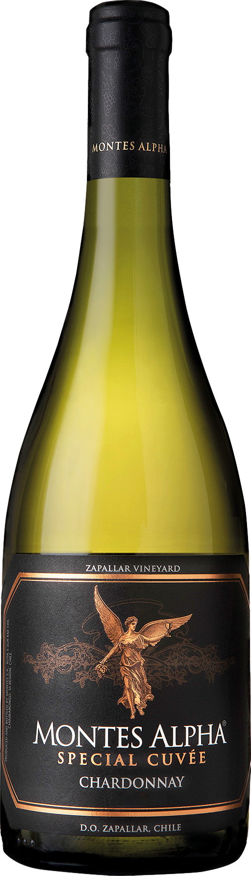 Montes Alpha Special Cuvee Chardonnay 2020 Montes 8wines DACH